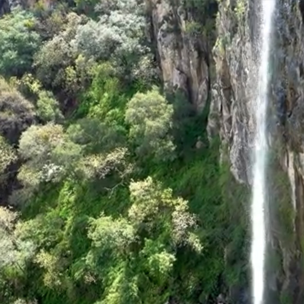 El Salto del Gavilan